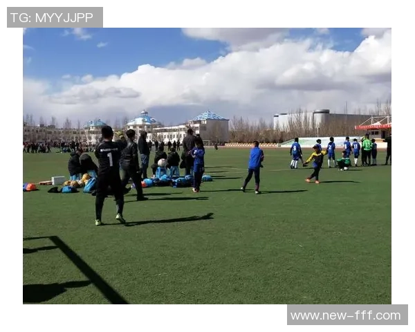 足球助理裁判员旗示的意义与应用解析及其对比赛公正性的影响